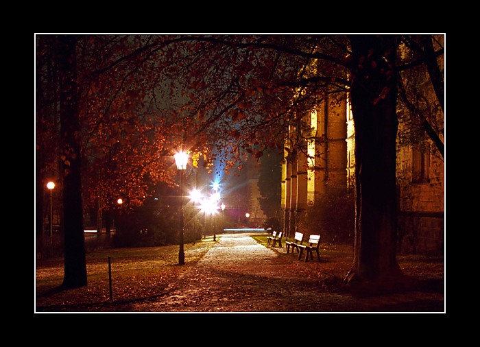 Severočeské Muzeum II.